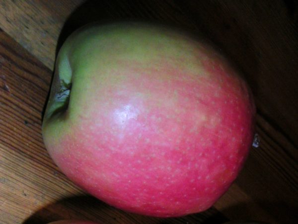 תפוח פינק ליידי